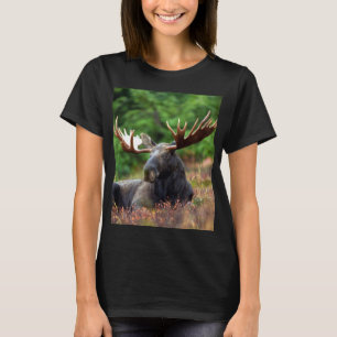 T-shirt orignal