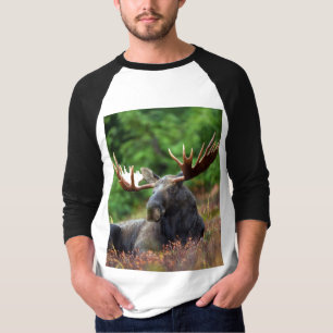 T-shirt orignal
