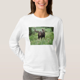 T-shirt Orignal mâle (Alces alces) dans les fleurs sauvage