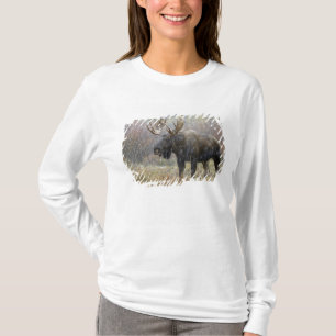 T-shirt Orignal mâle dans une tempête de neige avec des tr
