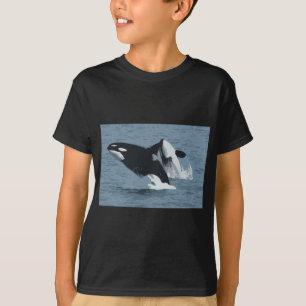 T-shirt Orka Whale