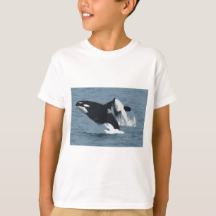 T-shirt Orka Whale