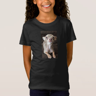 T-Shirt Oscar le T-shirt/sweatshirt bleus de chiwawa