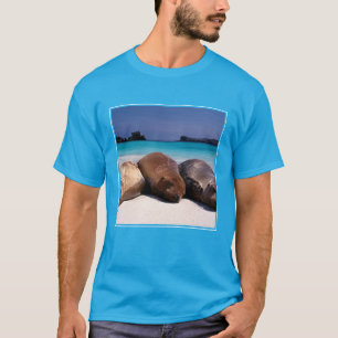 T-shirt Otaries dormant sur la plage Equateur