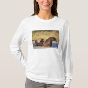 T-shirt Ours brun, ours grizzly, truie avec ses oursons,