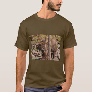 T-shirt Ours du Montana