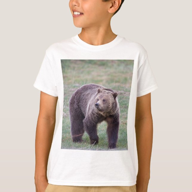 T-shirt Ours gris (Devant)