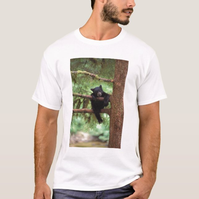 T-shirt ours noir, Ursus americanus, petit dans un arbre (Devant)