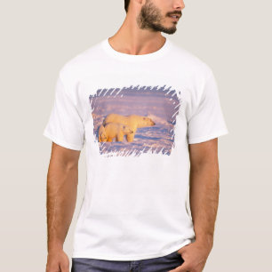 T-shirt Ours polaire femelle avec des oursons de printemps