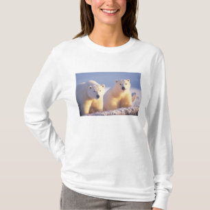 T-shirt Ours polaire femelle avec ourson sur la banquise