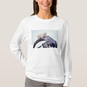 T-shirt Ours polaire sur le dessus d'un os de mâchoire de