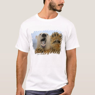 T-shirt ours polaire, Ursus maritimus, regarde curieusemen