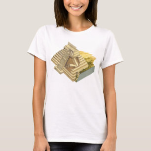T-shirt Palenque Mexique. Temple des inscriptions