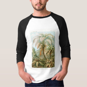 T-shirt Palm Tree Ernst Haeckel