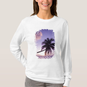T-shirt Palmier solitaire au coucher du soleil, plage de C
