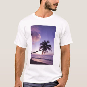 T-shirt Palmier solitaire au coucher du soleil, plage de C