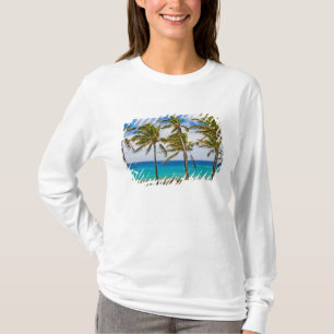 T-shirt Palmiers à noix de coco (Cocos nucifera) se balanç