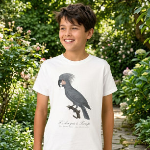 T-shirt Palmiste noir, Probosciger aterrimus