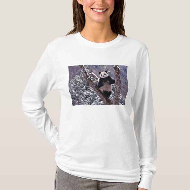 T-shirt Panda géant debout sur l'arbre, Wolong, Sichuan, (Devant)
