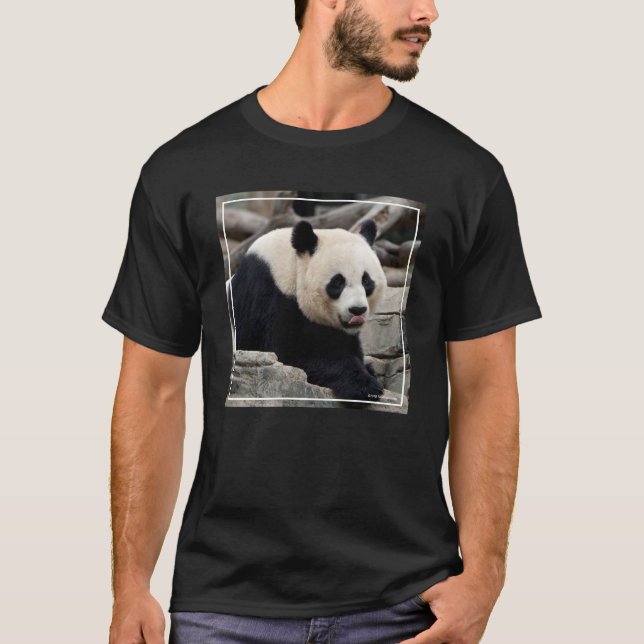 T-shirt Panda géant sur des roches (Devant)