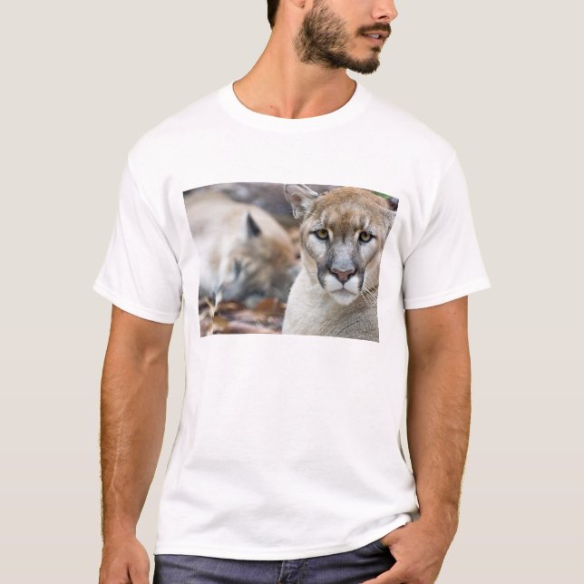 T-shirt Panthère de Floride (Devant)