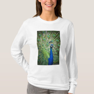T-shirt Paon criard