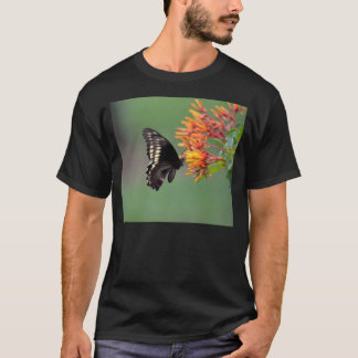 T-shirt Papillon de machaon de Polydamus