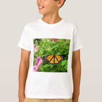 Papillon monarque