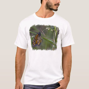 T-shirt Papillon monarque dans l'herbe