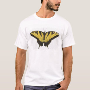 T-shirt Papillon occidental de machaon de tigre