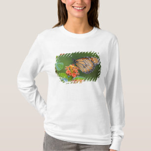 T-shirt Papillon soldat (Danaus eresimus) en train de se n