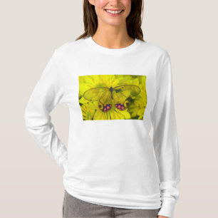 T-shirt Papillon sur jaune