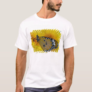 T-shirt Papillons tropicaux