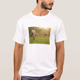 T-shirt Paradis d'amants de cheval