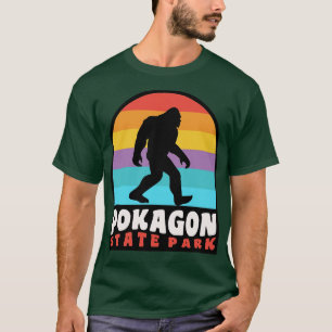 T-shirt Parc d'état de Pokagon Indiana Retro Sunset