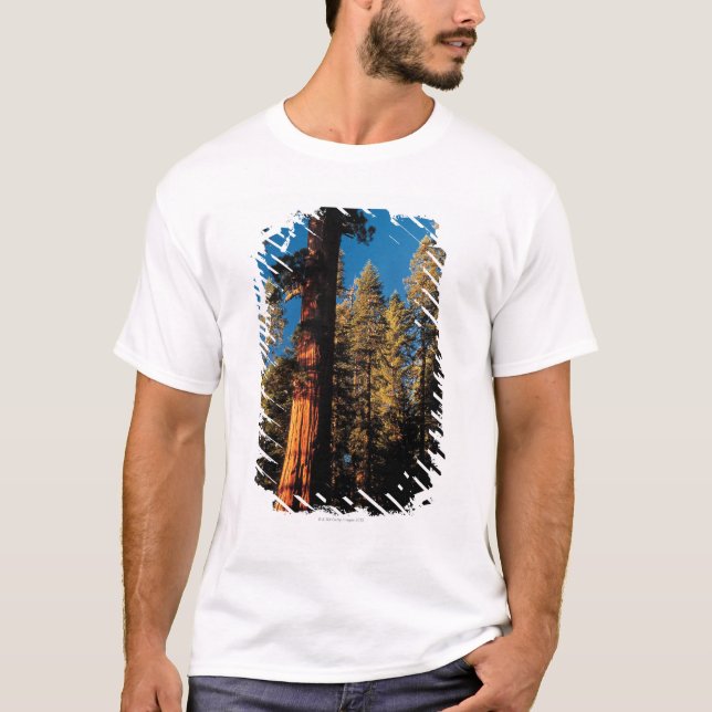 T-shirt Parc national de séquoia, la Californie 2 (Devant)