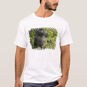 T-shirt Parc national des Volcans, Gorille des Montagnes