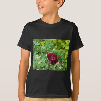 T-shirt parterre de fleurs au printemps