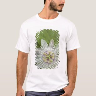T-shirt Passiflore de Galapagos Passiflora foetida