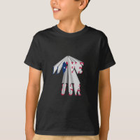 Patriotisme effarant : I Love USA Perspective Art