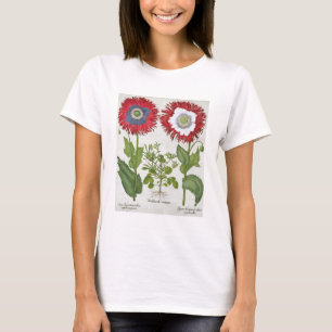 T-shirt Pavots ornementaux, du 'Hortus l'Eystettensis