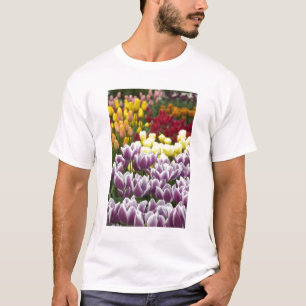 T-shirt Pays-Bas aka Holland), Lisse. Keukenhof 3
