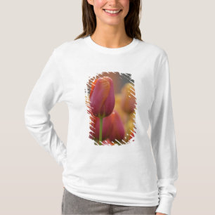 T-shirt Pays-Bas aka Hollande), Lisse. Keukenhof 6
