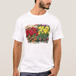 T-shirt Pays-Bas, Keukenhoff Gardens, tulipes.