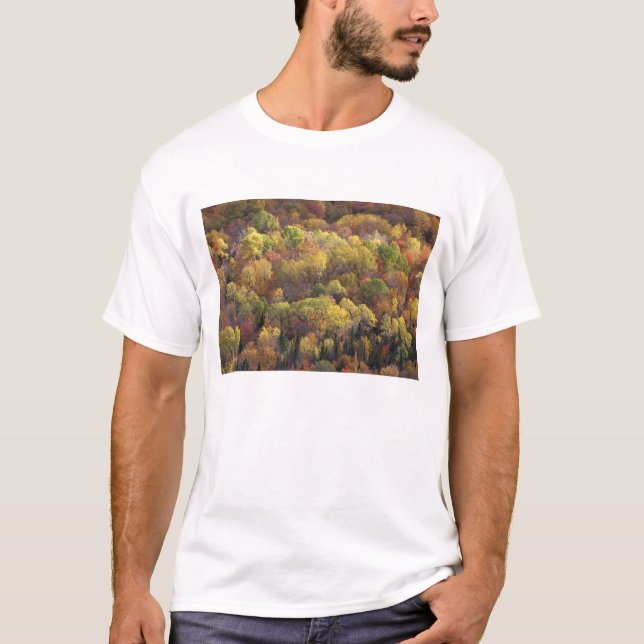 T-shirt Paysage d'automne, Vermont, États-Unis 2 (Devant)