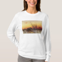 Paysage d'hiver