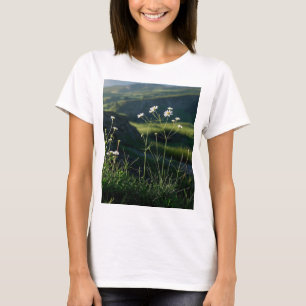 T-shirt Paysage naturel de la marguerite blanche