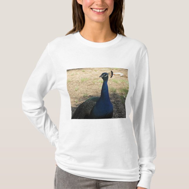 T-shirt Peacock Photo Bleu Bleu Beau Beau Oiseau (Devant)