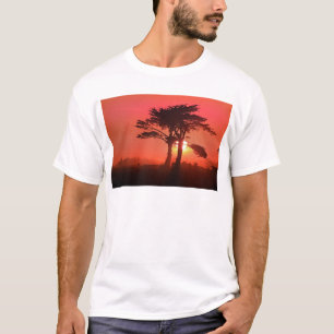 T-shirt Père Noël Cruz Sahara