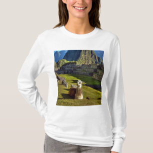T-shirt Pérou, Andes, Monts des Andes, Machu Picchu